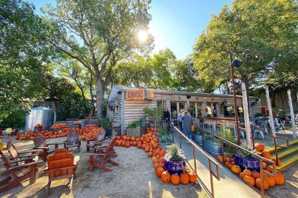 Best hidden coffee shops for remote work in east austin texas