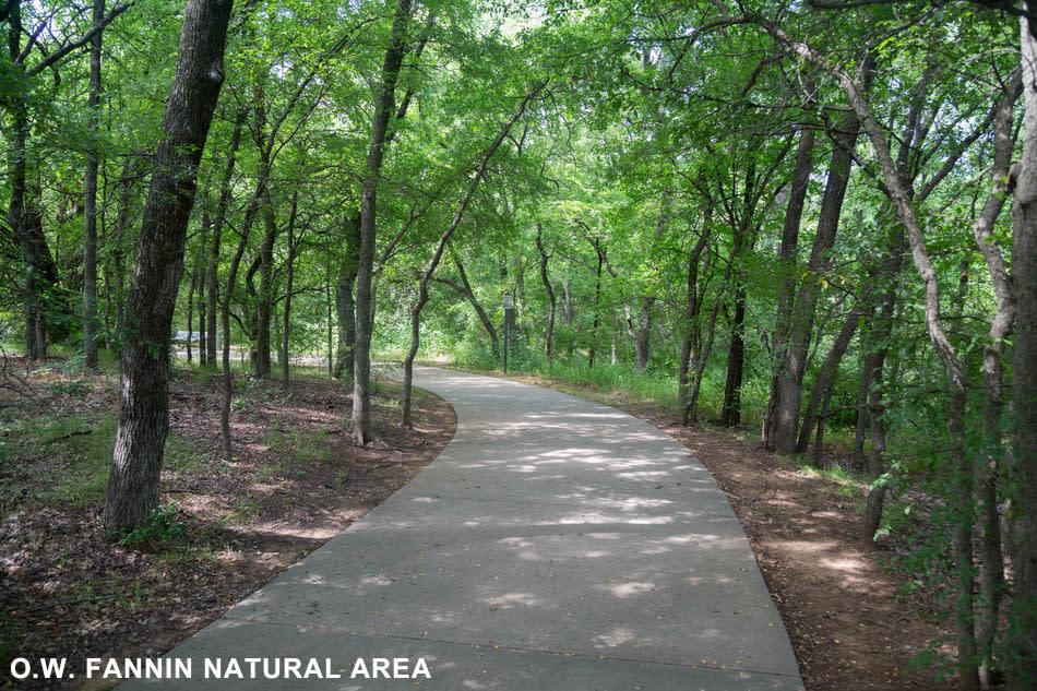 Best hidden parks and green spaces in east arlington texas