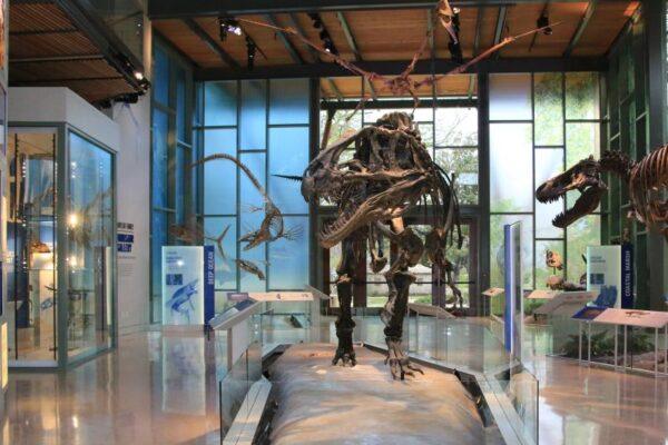 Best museums focused on history in san antonio texas