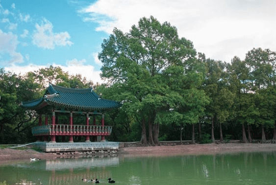 Best outdoor parks for picnics in san antonio texas