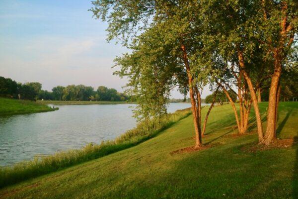 Best scenic picnic spots in arlington texas parks