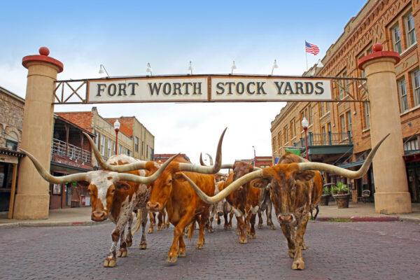 Best things to do in old east dallas texas