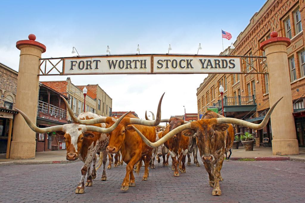 Best things to do in old east dallas texas