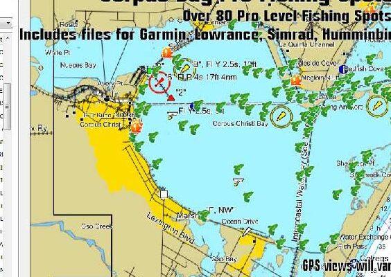 Corpus christi texas fishing spots for beginners