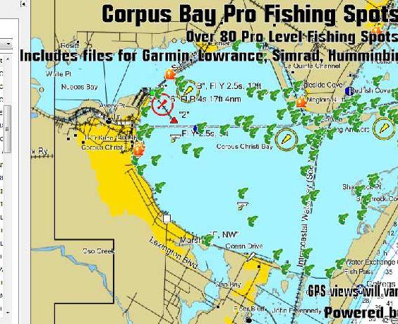 Corpus christi texas fishing spots for beginners