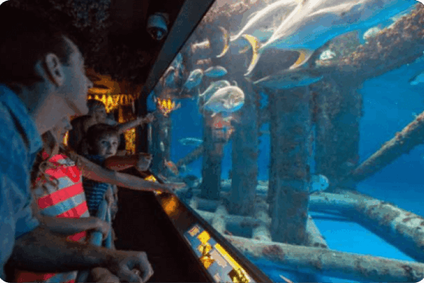 Corpus christi texas museums you shouldnt miss