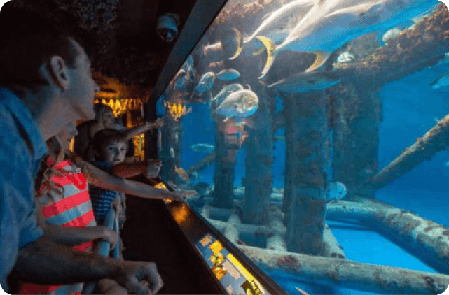 Corpus christi texas museums you shouldnt miss