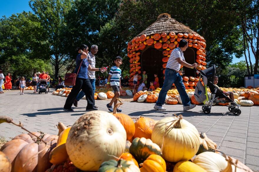 Dallas texas cultural festivals you should attend