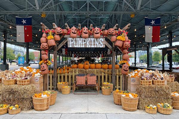 Dallas texas farmers markets you should visit