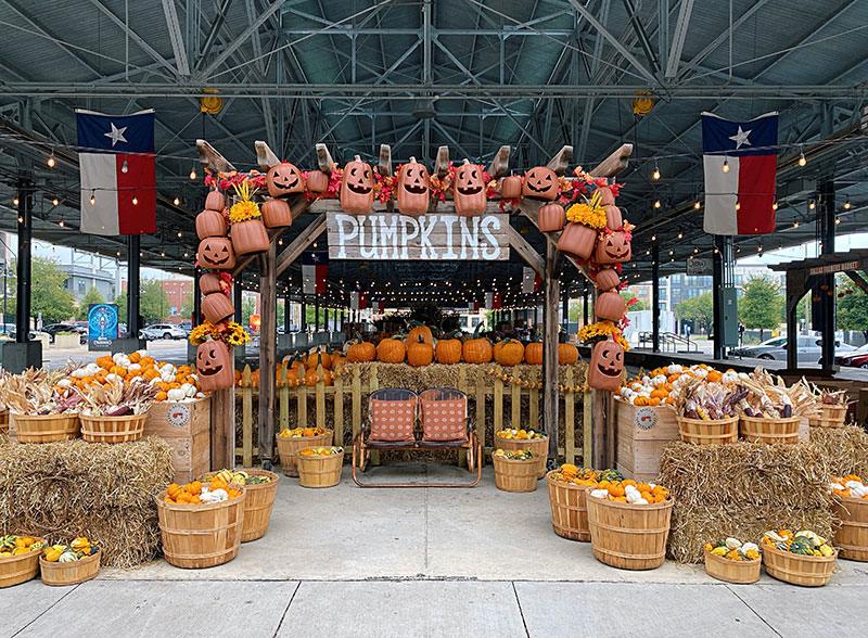 Dallas texas farmers markets you should visit