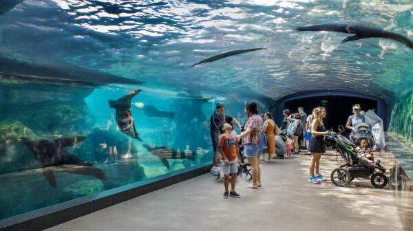 Family friendly attractions in houston