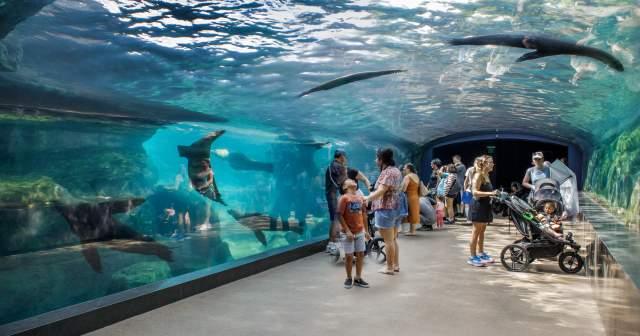 Family friendly attractions in houston