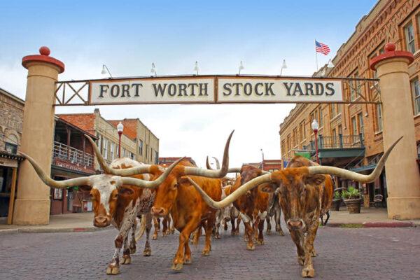 Fort worth texas culinary tours and food experiences