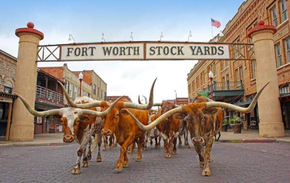 Fort worth texas nightlife hotspots to explore