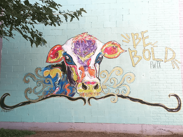 Fort worth texas street art and murals to see