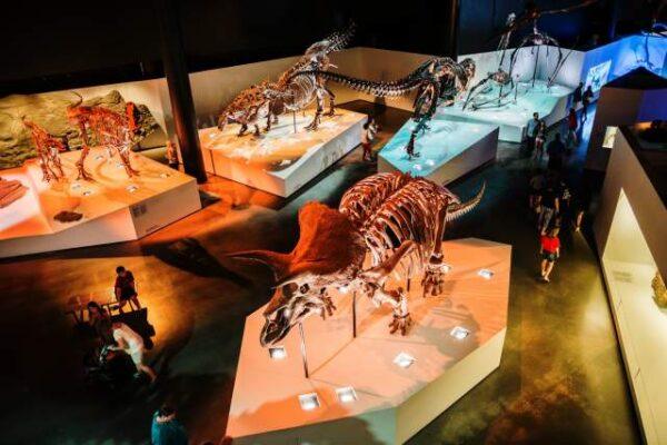 Houston museums for families