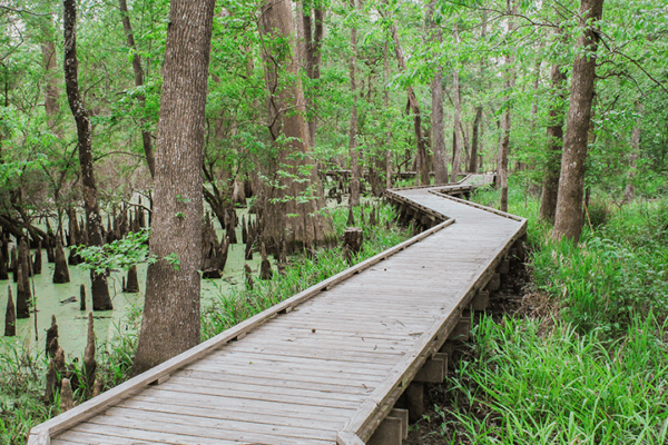 Houston parks for hiking and biking