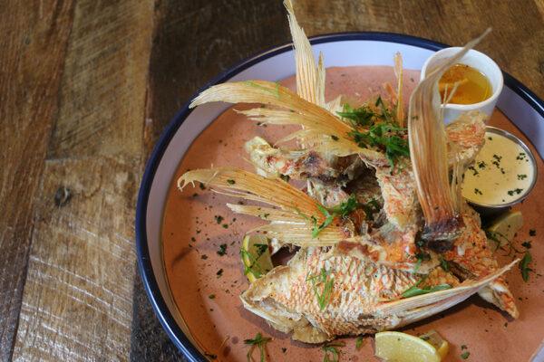 San antonio texas culinary experiences you cant miss