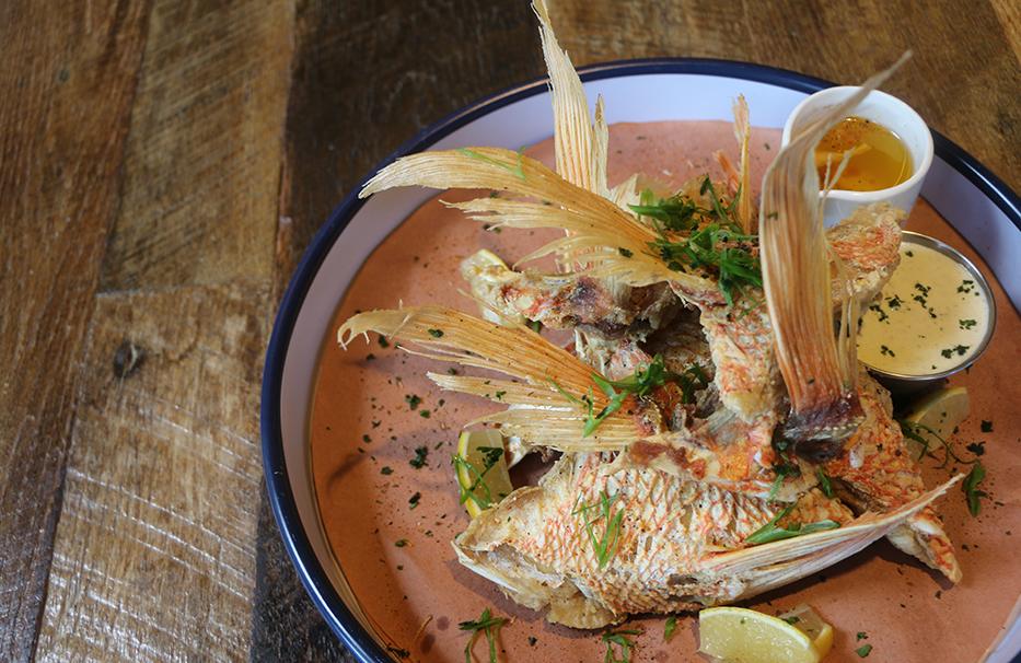 San antonio texas culinary experiences you cant miss