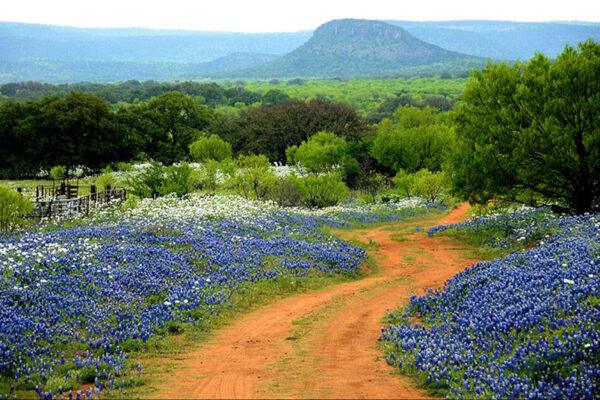 Texas hill country wildflowers and nature trails