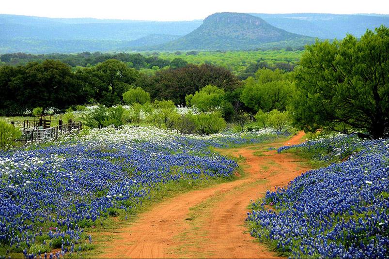 Texas hill country wildflowers and nature trails