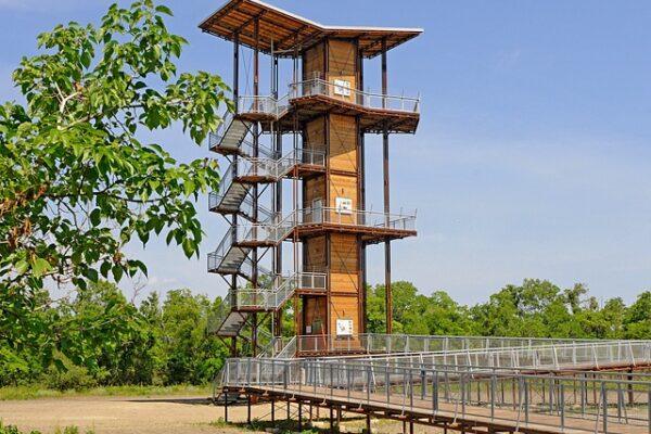 Texas parks for wildlife watching