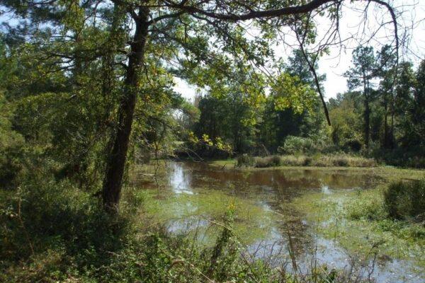 Texas wildlife refuges and conservation areas