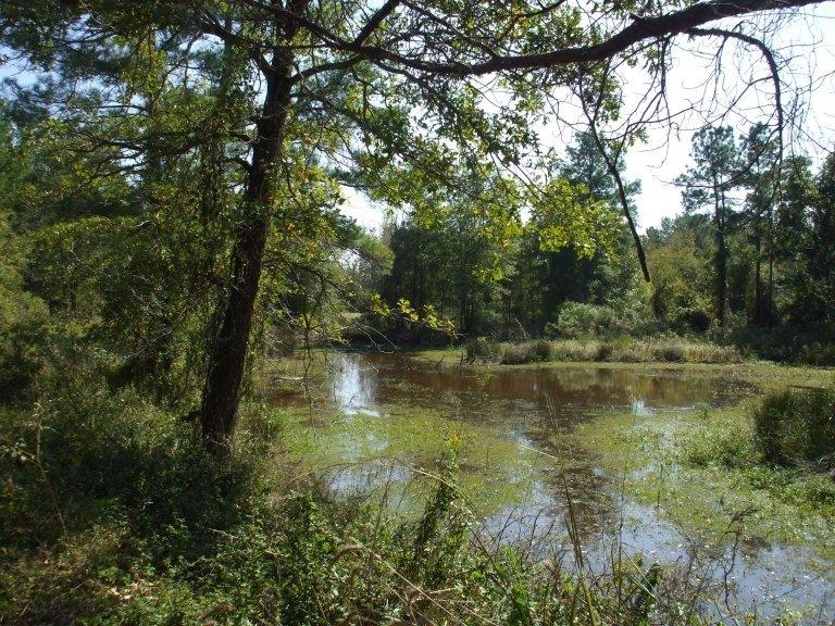 Texas wildlife refuges and conservation areas
