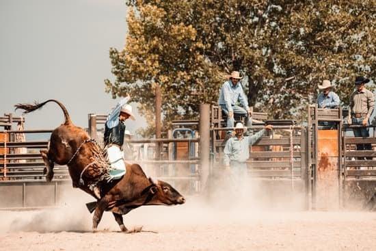 The culture of rodeo in texas