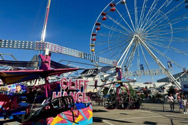 The houston rodeo experience