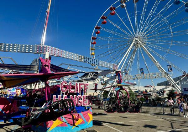 The houston rodeo experience