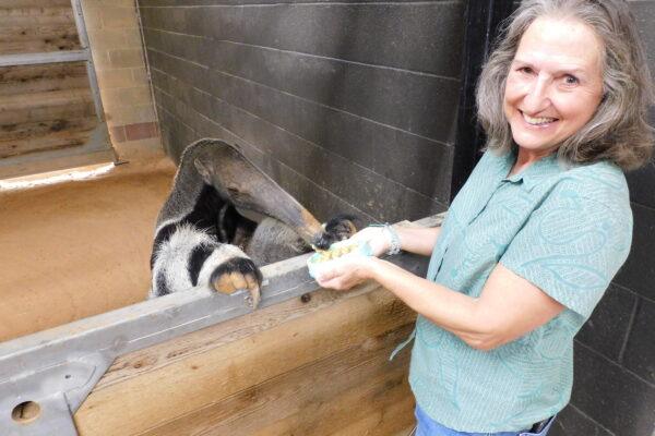 The houston zoo and wildlife experiences