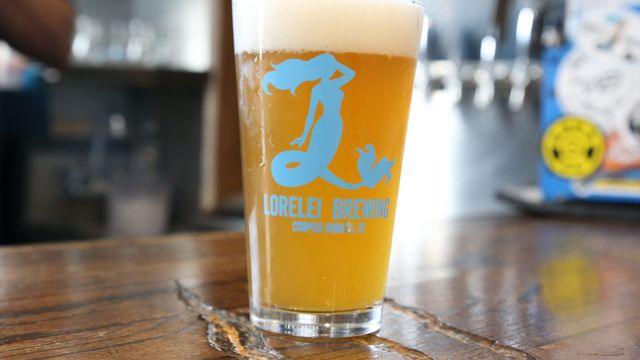 Top craft breweries in corpus christi texas