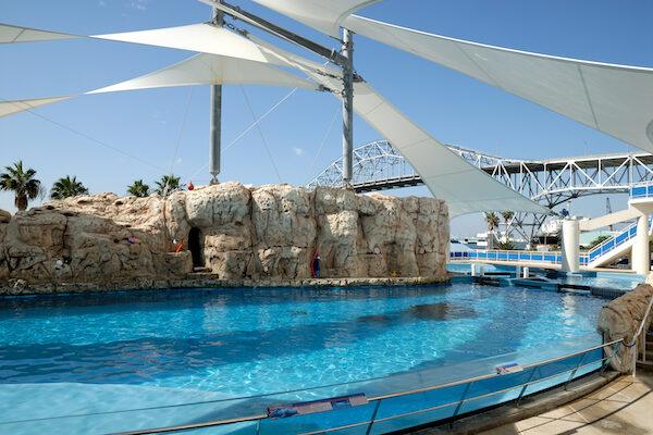 Top family friendly attractions near corpus christi bay