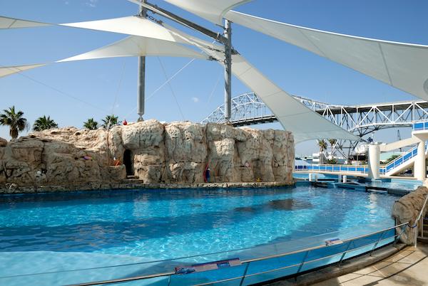 Top family friendly attractions near corpus christi bay