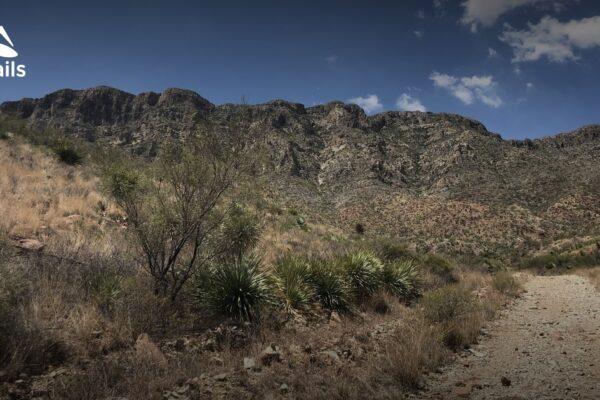 Top hiking and biking trails near franklin mountains el paso texas