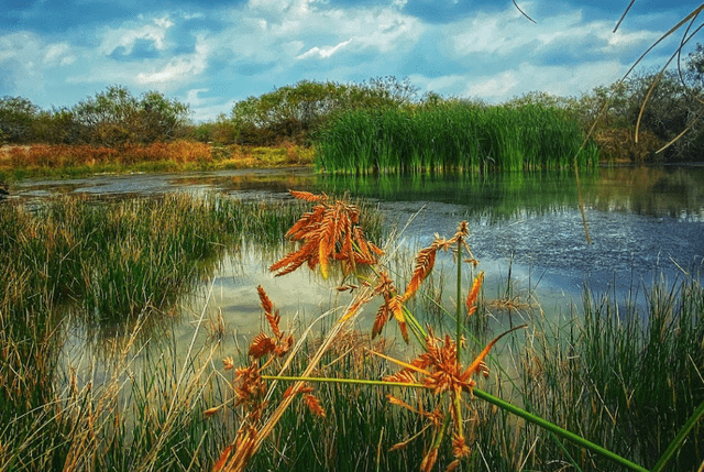 Top hiking trails for beginners in corpus christi texas