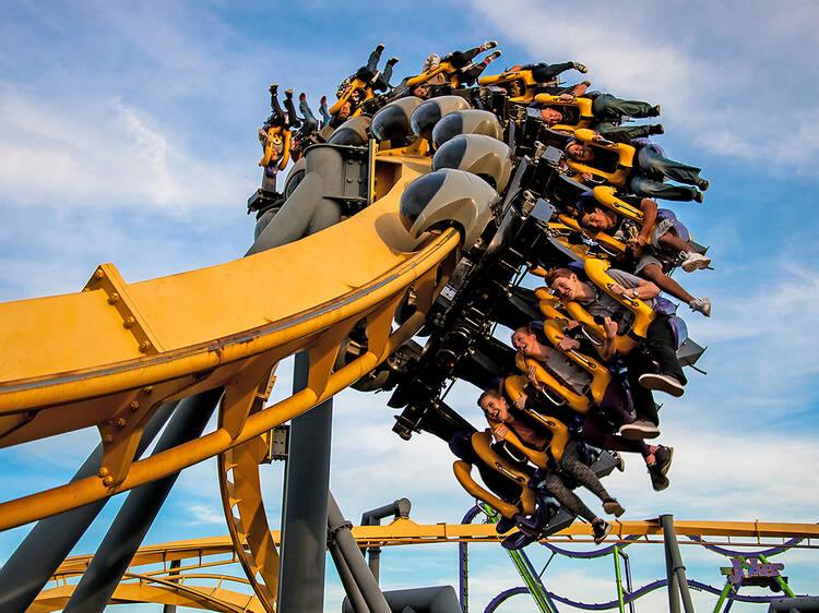 Top things to do in dallas texas this summer