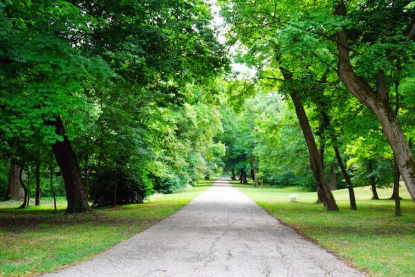 Top walking trails near downtown arlington texas