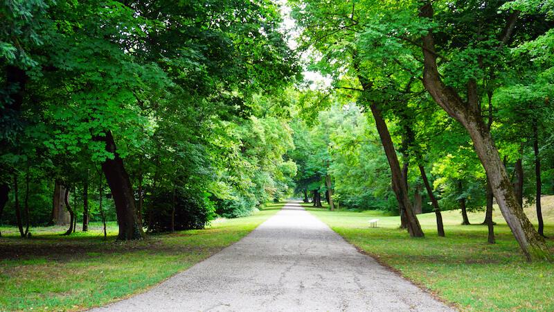 Top walking trails near downtown arlington texas