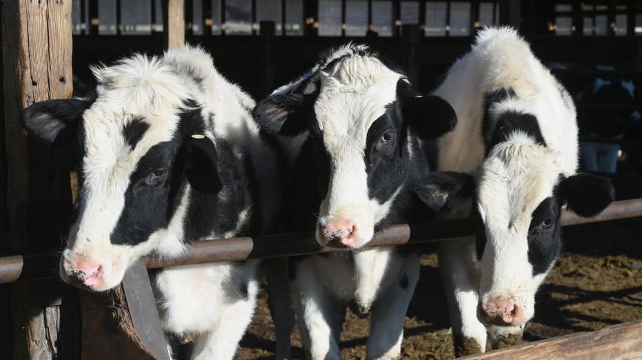Texas Approves Animal Feed Exemption from Personal Property Tax: What You Need to Know