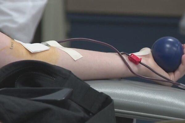 Join the 'We Are Blood' Holiday Blood Drive in Bastrop: Save Lives This Season!