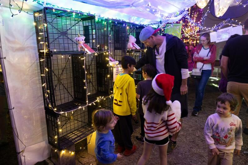 Experience the 37th Street Lights Petting Zoo: Earn Stuffed Animals by Completing Fun Tasks!