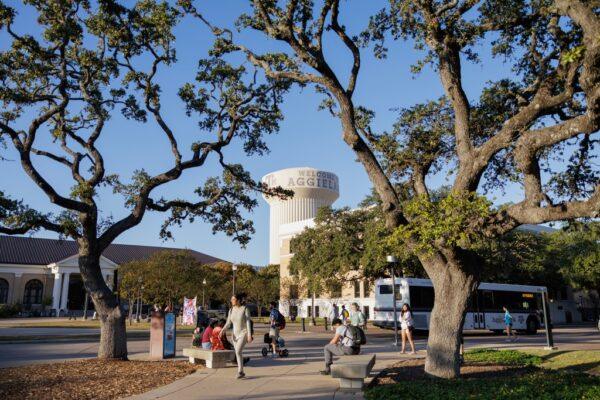 Texas A&M Cuts Women's and Gender Studies Degree Program: What You Need to Know