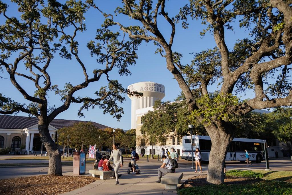 Texas A&M Cuts Women's and Gender Studies Degree Program: What You Need to Know