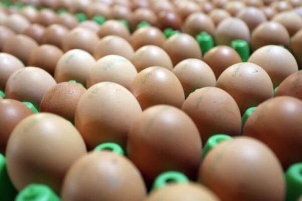 Texas Food Banks to Get 2 Million Eggs After Pandemic Price Gouging Lawsuit Settlement