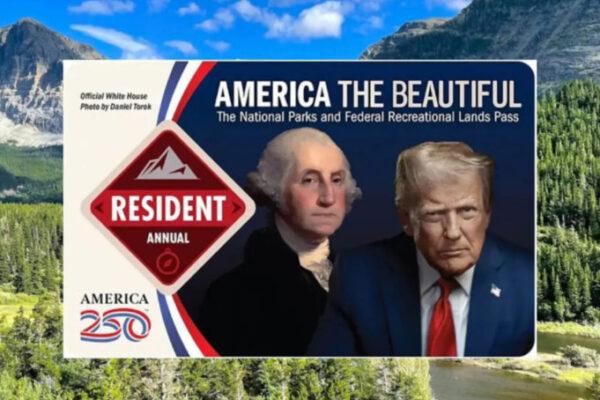 Hit the Trails, Donny: A Guide to Outdoor Adventures