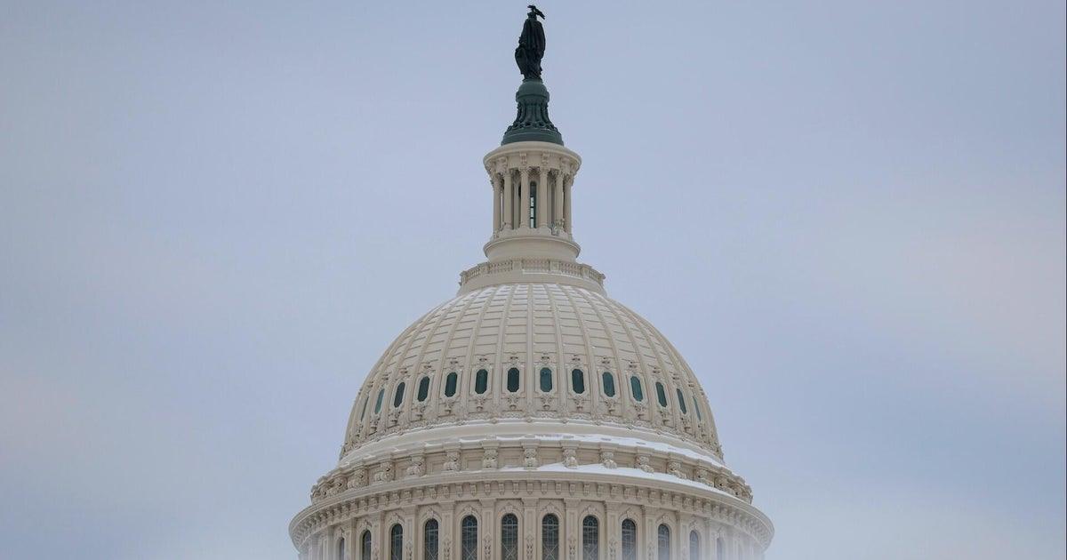 "Funding Bill Delays: Insights on Senate Democrats' Deal with the White House"
