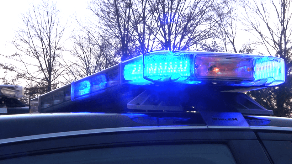 Elderly Man Shot and Killed in Spring Neighborhood: Details from Constable
