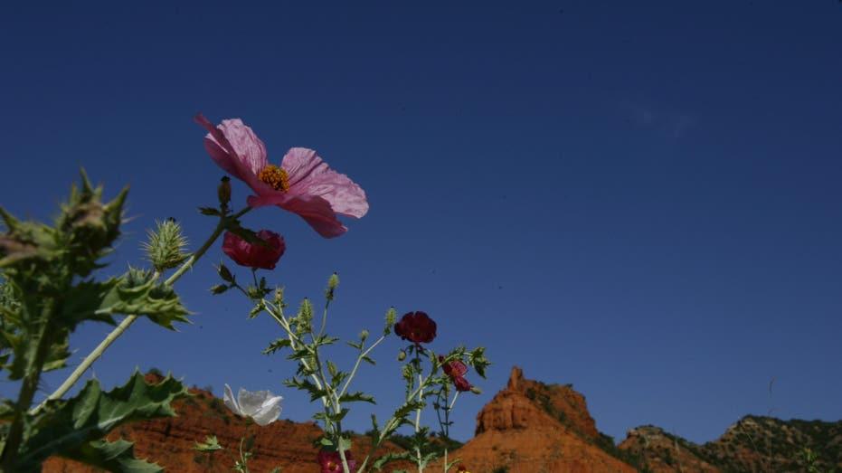 Texas State Park Becomes 5th to Achieve Prestigious 'Dark Sky' Designation